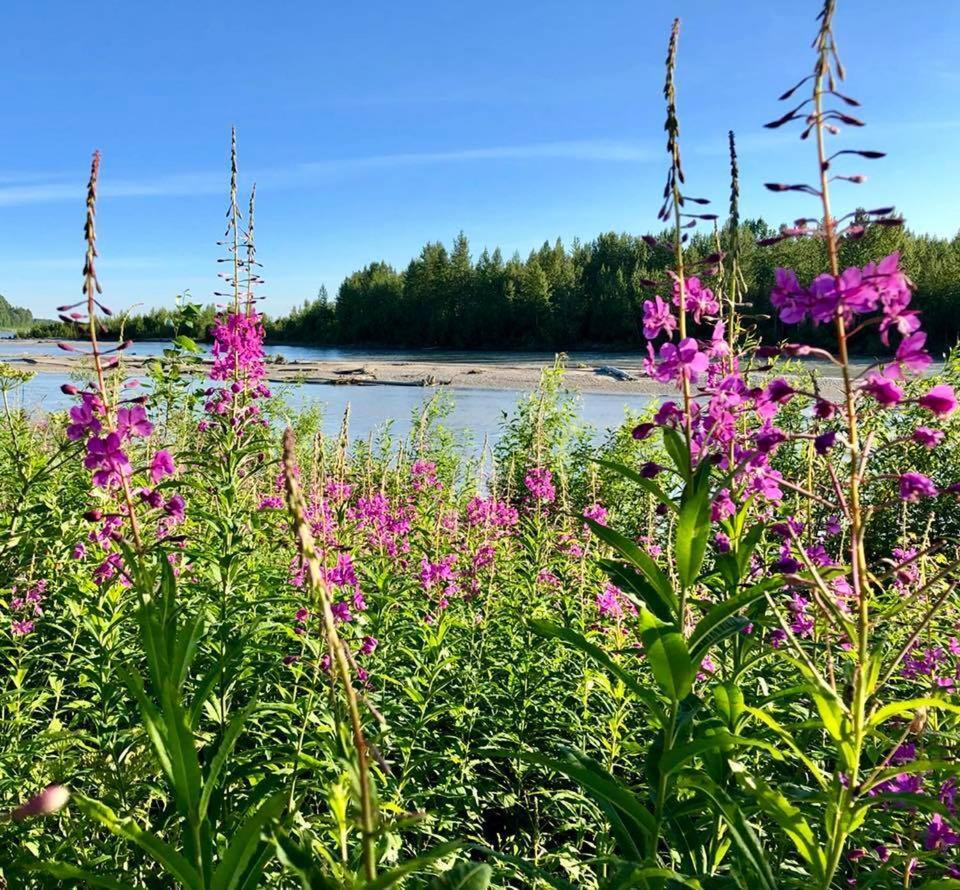 Lodge Suites at Susitna River Lodge