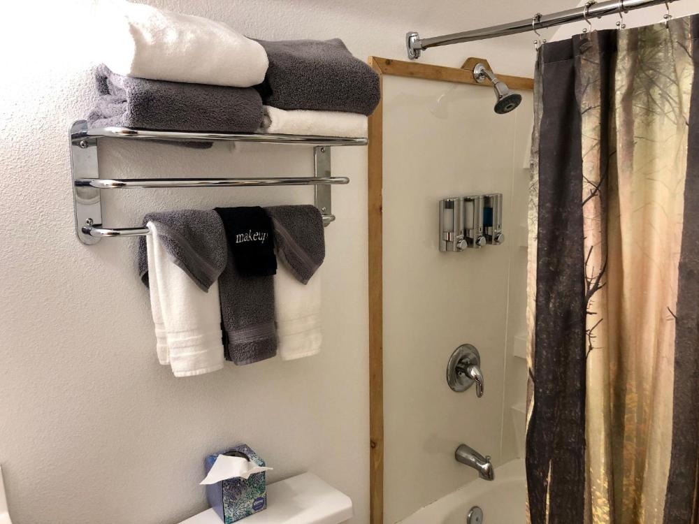 Deluxe Suite interior